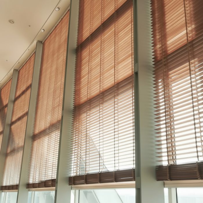 Wood Blinds Living Room 2